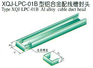 XQJ-LPC-01BXϽ侀۷^